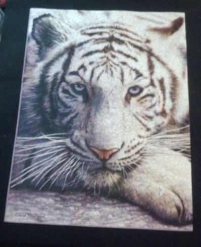 White Tiger Puzzle - Completed 8.1.15